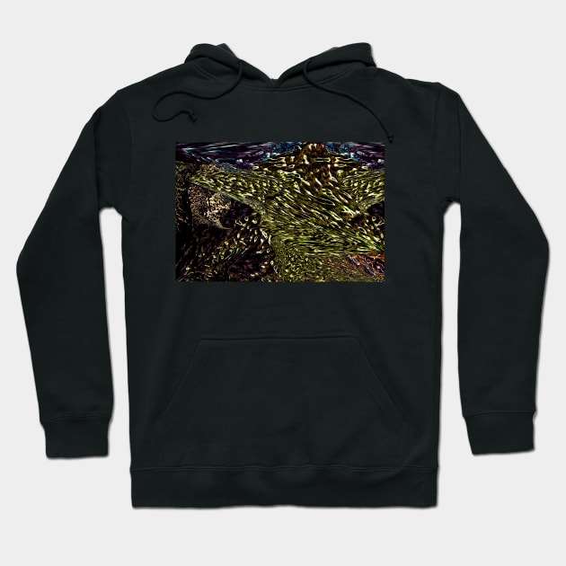 Sea Star on the Seabed Hoodie by mavicfe